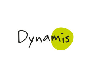 Dynamis Consulting cabinet RH
